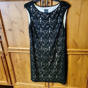 JH Sleeveless Lace Dress